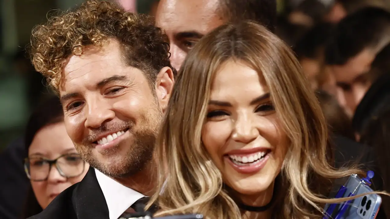 En fotos | David Bisbal y Rosanna Zanetti disfrutan de una escapada a ...