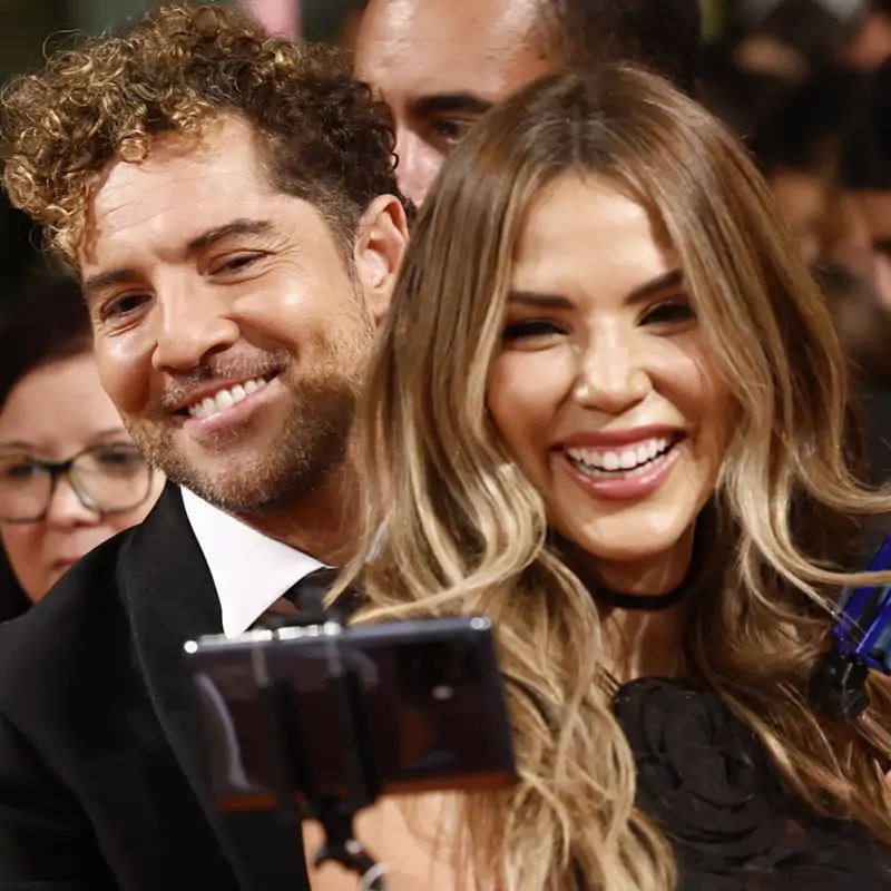 David Bisbal y Rosanna Zanetti