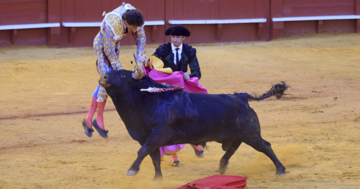 El apoderado de Roca Rey, tras su grave cogida: 
