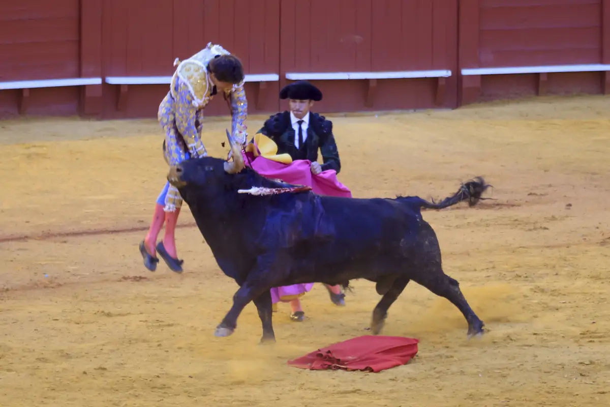 Última hora sobre la salud de Roca Rey tras su grave cogida: el torero ...